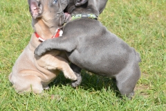 sisterly playtime